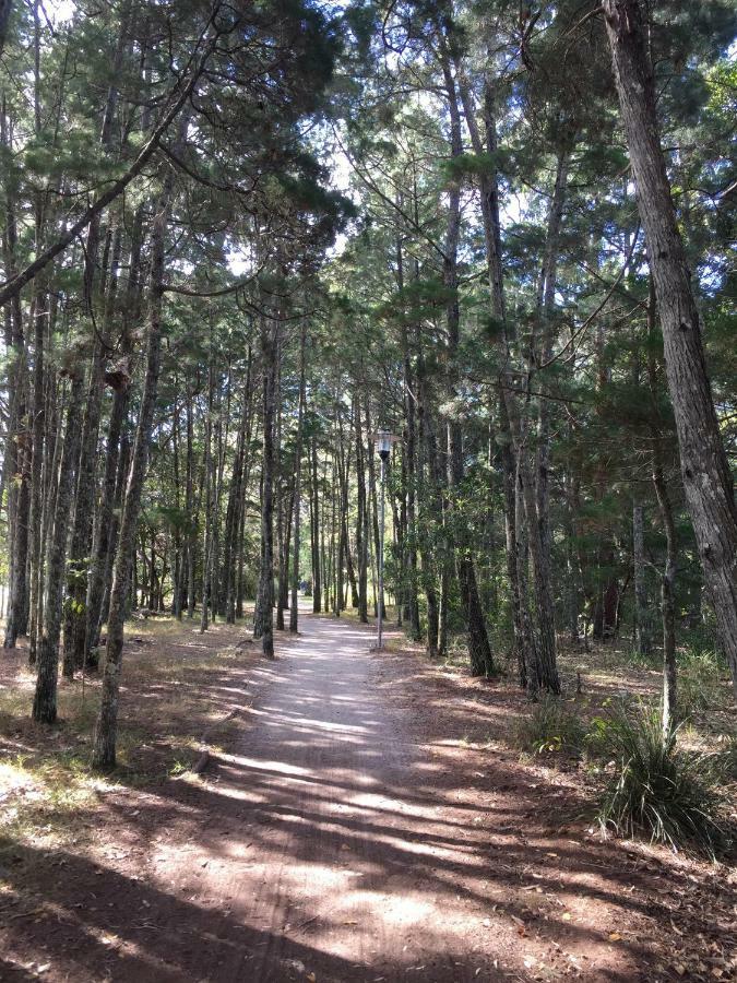 Appartamento Brunswick Heads Treetop Studio Esterno foto